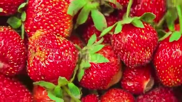 一大片草莓围成圆圈旋转视频的预览图