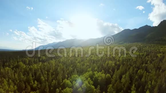 空中观景台飞越美丽的阳光森林空中摄影机拍摄山脉视频的预览图