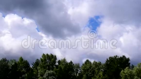 美丽的云在树梢上的时间流逝视频的预览图
