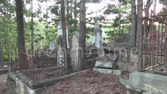 树木生长在有栅栏的坟墓里视频的预览图