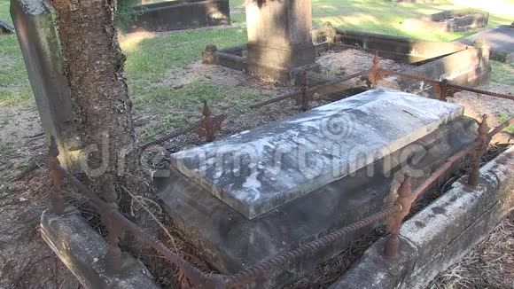 树生长在有栅栏的坟墓里视频的预览图