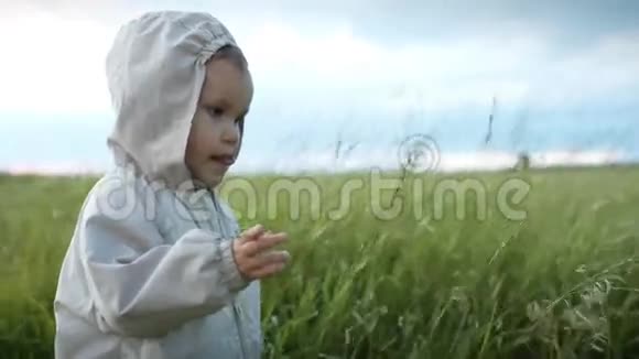 幼儿在田里玩草视频的预览图