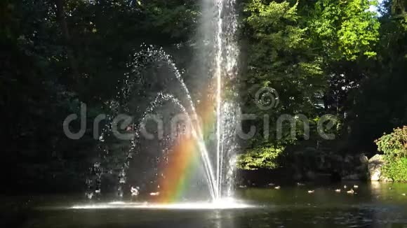 在喷泉里彩虹植物园位于南特火车站对面的街道上视频的预览图