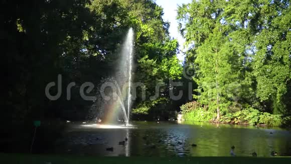 在喷泉里彩虹植物园位于南特火车站对面的街道上视频的预览图