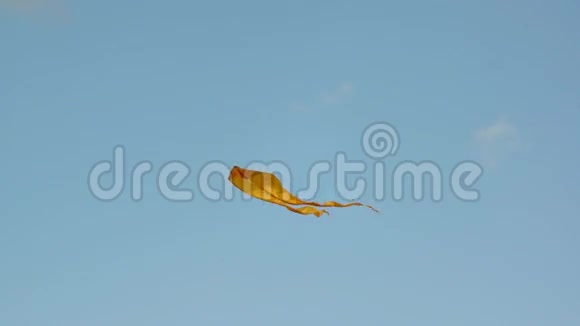 一只黄色的风筝视频的预览图