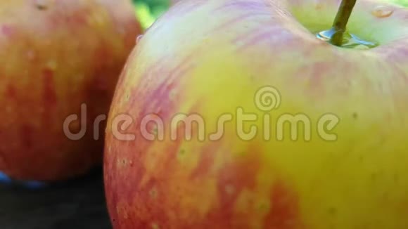 成熟的苹果湿在草地上慢动作秋日阳光户外健康视频的预览图