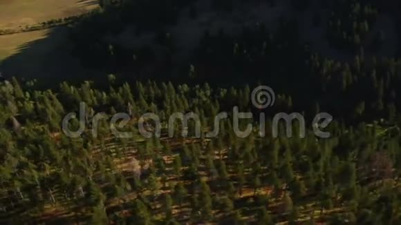 森林峡谷的空中拍摄视频的预览图