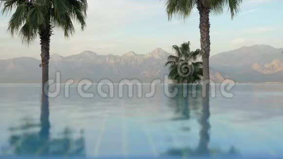 有棕榈和山景的室外游泳池视频的预览图