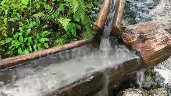 欧洲阿尔卑斯山树干的喷泉水流视频的预览图