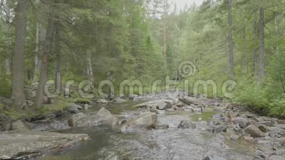 水流通过岩石非常光滑秋天的急流彩色全木背景深山中的河流视频的预览图