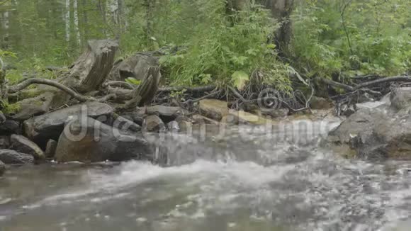 水流通过岩石非常光滑秋天的急流彩色全木背景深山中的河流视频的预览图