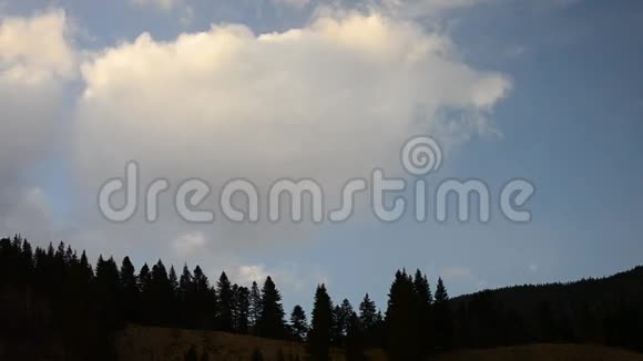 白云在黑杉树的轮廓上移动视频的预览图