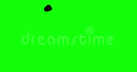 万圣节布奥动画黑色在绿色视频的预览图