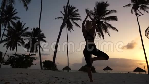 清晨女孩在棕榈树上伸展瑜伽视频的预览图