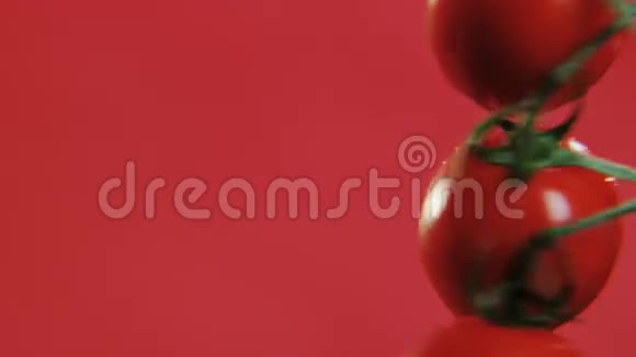 番茄在粉红背景上旋转视频的预览图