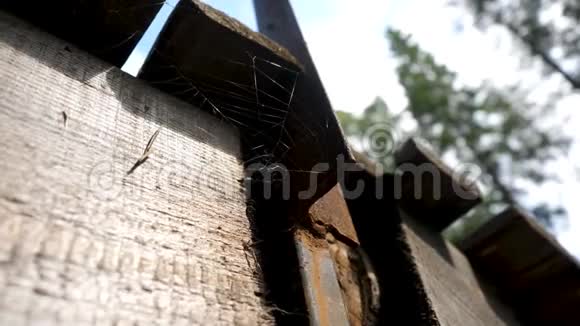 废弃房子里的老蜘蛛屋顶下的蜘蛛网屋顶下的蜘蛛视频的预览图