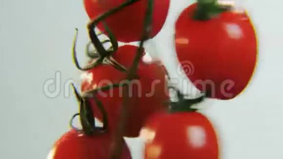 番茄在白色背景上旋转视频的预览图