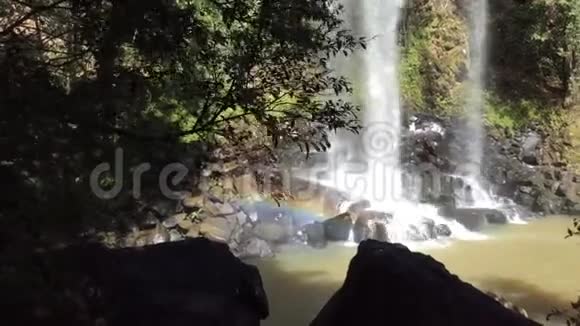 从阿根廷伊瓜苏国家公园的丛林树叶中看到伊瓜苏瀑布视频的预览图