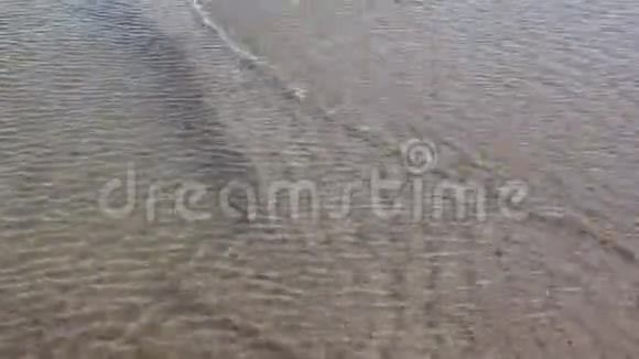 俄罗斯奥布水库沿岸波浪小自然背景视频的预览图
