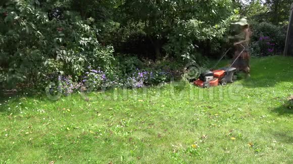 女人启动草坪切割器推近花坛4K视频的预览图