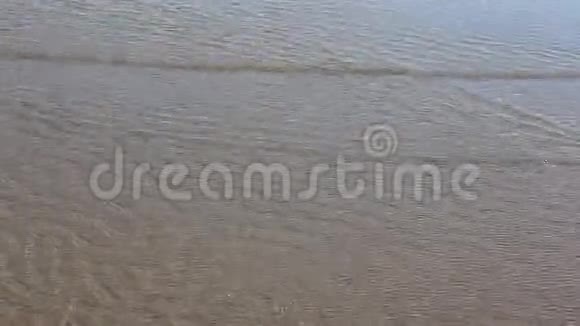 俄罗斯奥布水库沿岸波浪小自然背景视频的预览图