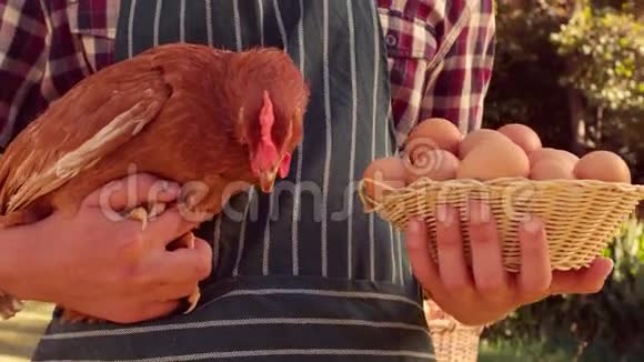 快乐的农夫拿着鸡和鸡蛋视频的预览图