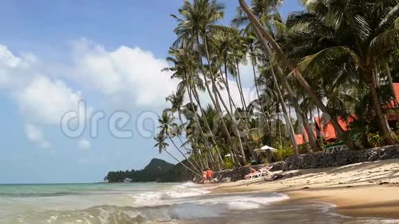 热带海岛度假田园背景阳光灿烂的海滨沙滩和棕榈树慢动作视频的预览图
