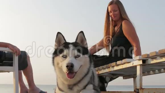 西伯利亚哈士奇女孩在海滩上和一只狗玩视频的预览图