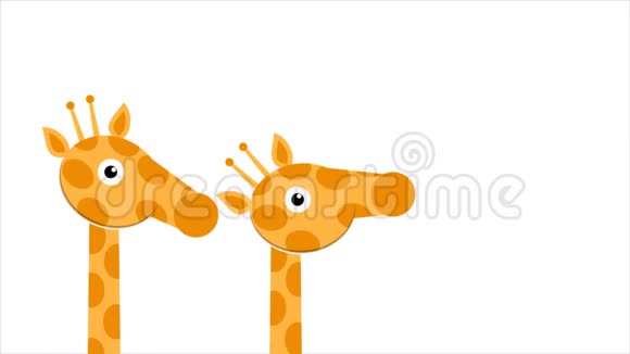 三头颈长颈鹿视频的预览图