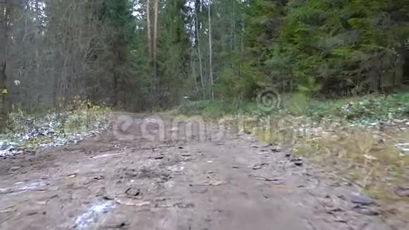 森林中冰冻肮脏道路的拍摄视频的预览图