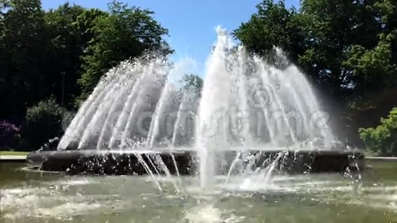 城堡前面的喷泉视频的预览图