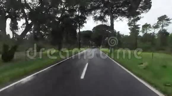 在雨林的一条路上开车视频的预览图