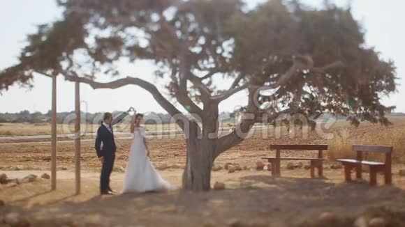 一棵大树下的新郎新娘视频的预览图