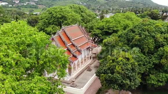 林间经典佛寺从上面的无人机可以看到佛寺在山附近的绿树之间视频的预览图