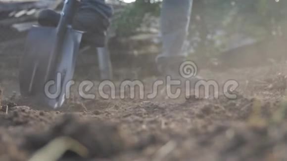 农夫用铲子挖地用花园铁锹特写慢动作视频男人生活方式农民在视频的预览图