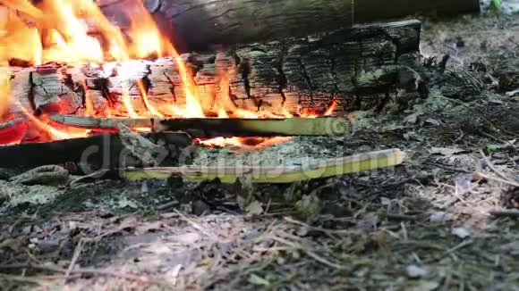 很好的看法燃烧的火焰与火花和红色火焰近距离观看壁炉里烧木头视频的预览图