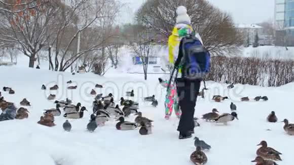 一位母亲和她的孩子正在雪地上喂鸽子和鸭子视频的预览图