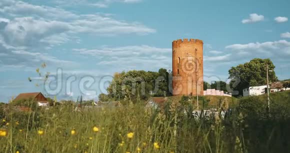 白俄罗斯布雷斯特地区的Kamyenyets阳光明媚的夏日绿草映衬下的锦绣树塔视频的预览图
