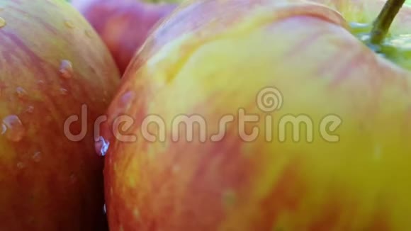 成熟的苹果湿在草地上慢动作视频的预览图