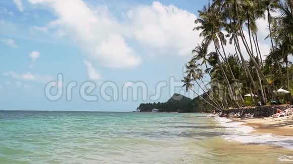 阳光灿烂的海滨沙滩和棕榈树热带海岛度假田园背景慢动作视频的预览图