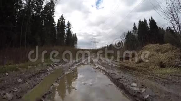 浑林路肮脏的森林道路视频的预览图