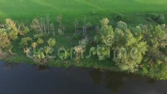 飞过田野和河流视频的预览图