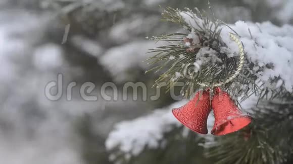 有松树枝的红色圣诞装饰视频的预览图