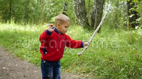 那个在秋天公园散步的孩子一个男孩手里拿着棍子站着视频的预览图