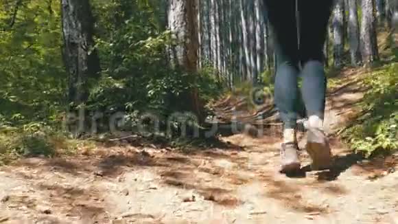 登山森林小径上旅行妇女徒步旅行的观景台视频的预览图