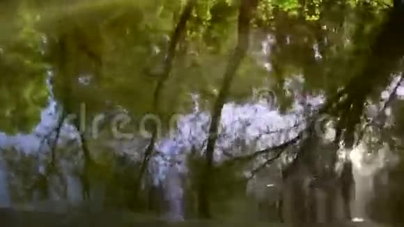 多瑙河三角洲森林湿地倒影视频的预览图