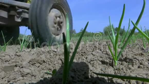 拖拉机处理后的田地种植洋葱视频的预览图