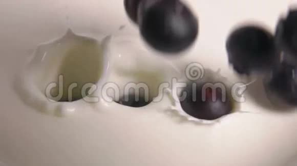 蓝莓和牛奶一起掉进玻璃碗里视频的预览图