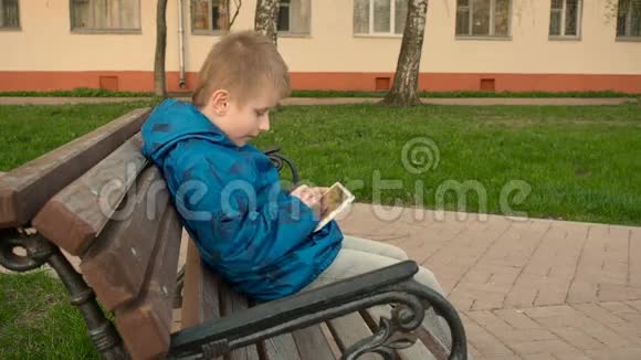 男孩在公园户外使用平板电脑视频的预览图