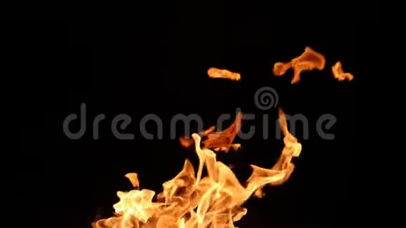 在黑暗的背景下燃烧的火焰视频的预览图